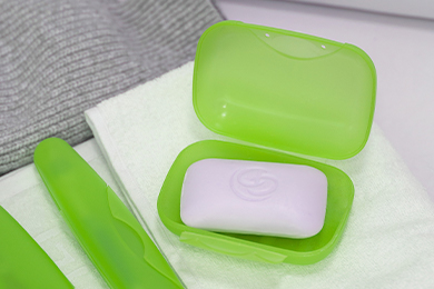 AC 21754000 (киви) kiwi.jpg